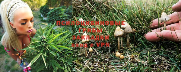 первитин Бородино