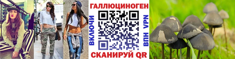 Галлюциногенные грибы Cubensis где найти наркотики Заречный